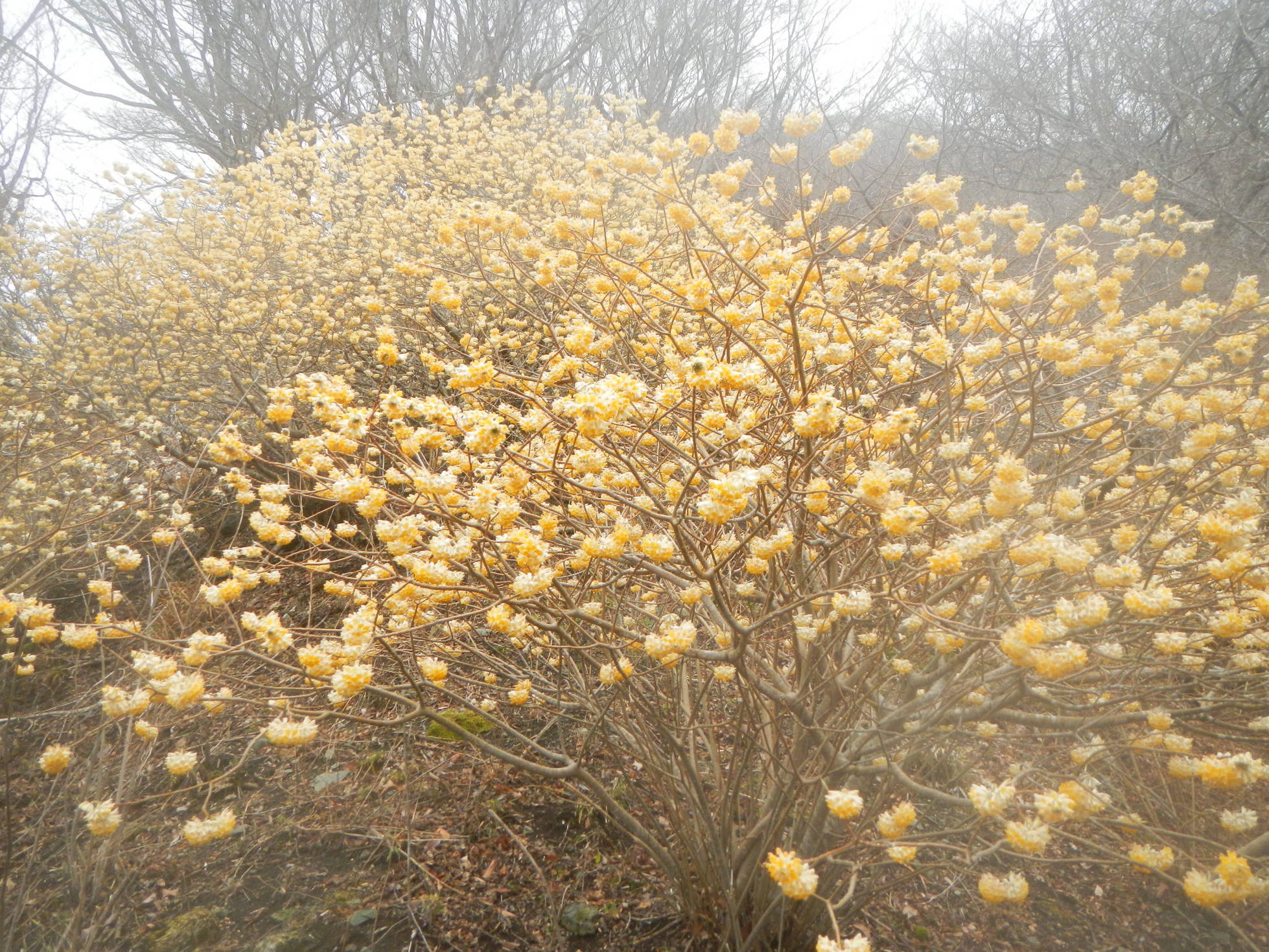 Untitled�iHALU8�j