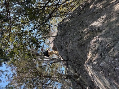 �I�o�P�R�iHALU8�j