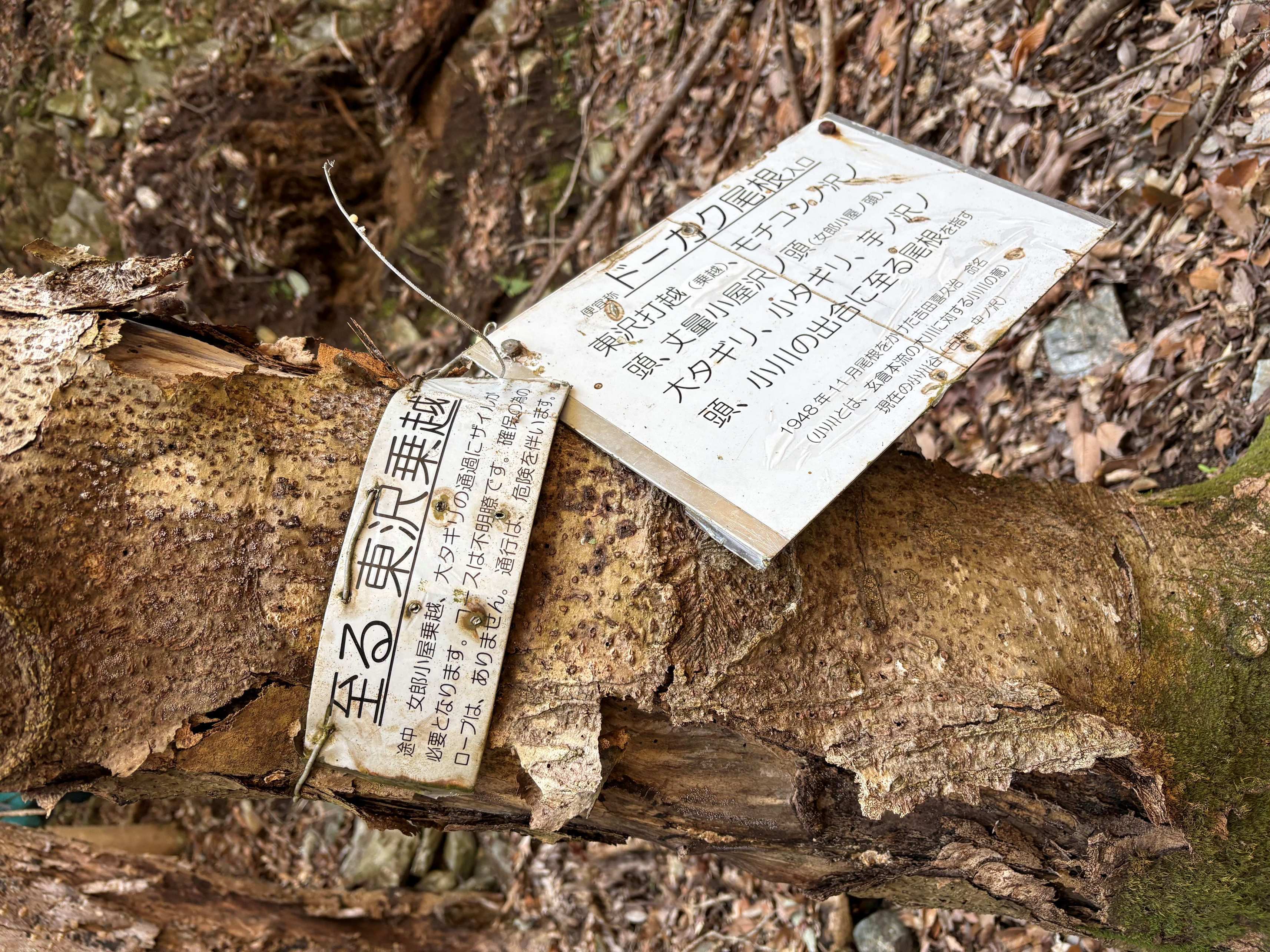 ��^�M���iHALU8�j