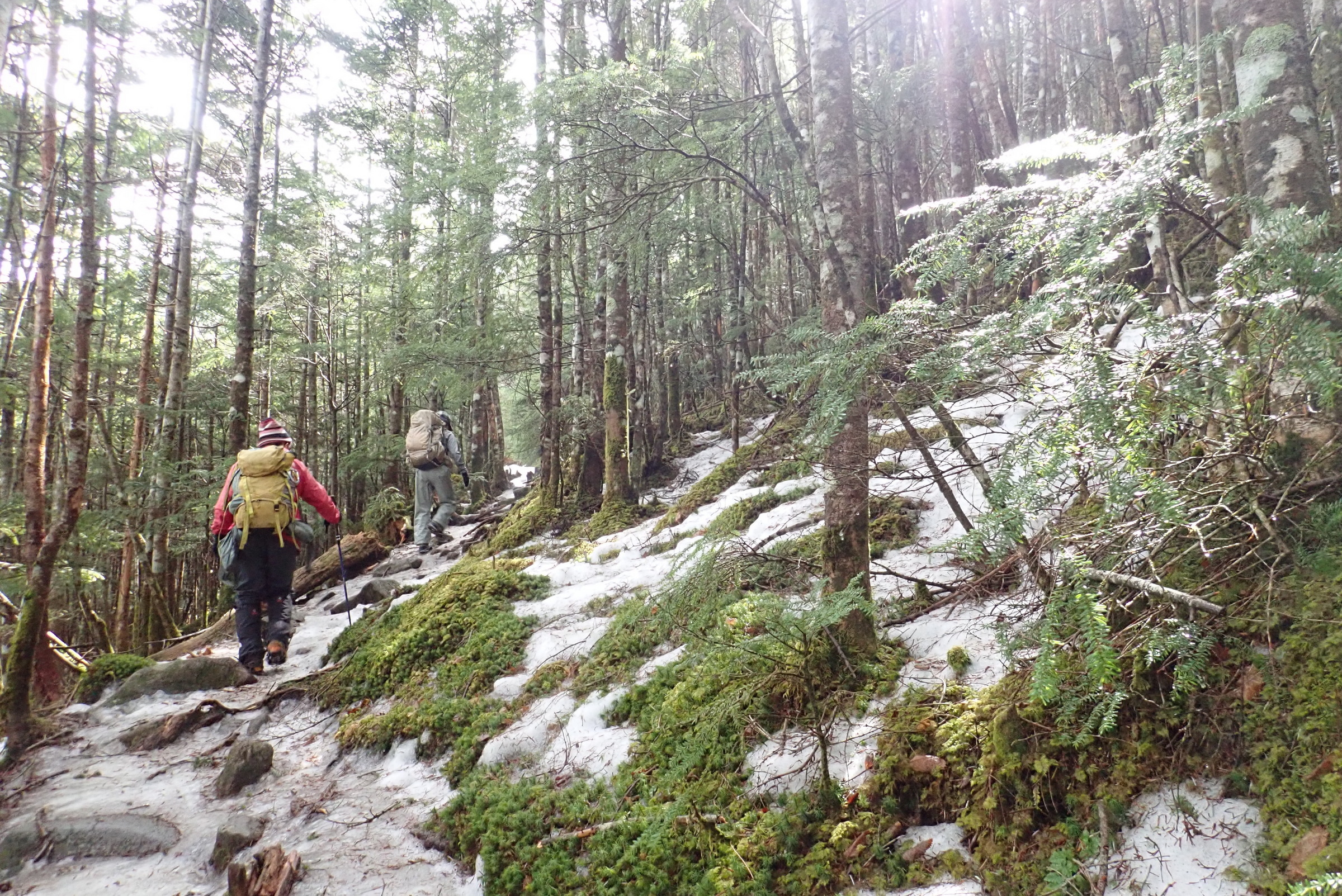 �t ������i�ށA�V��x�iHALU8�j