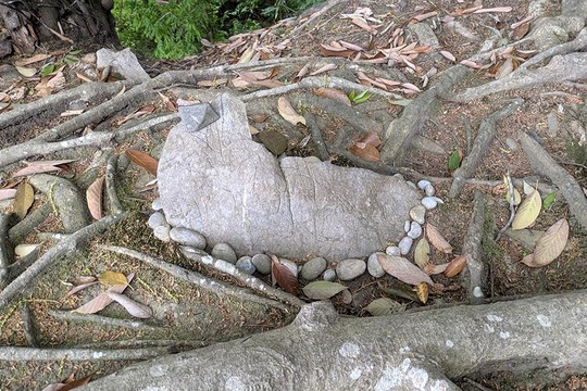 4/22 �����a�c �~�j�n�[�t�h�[���iHALU8�j