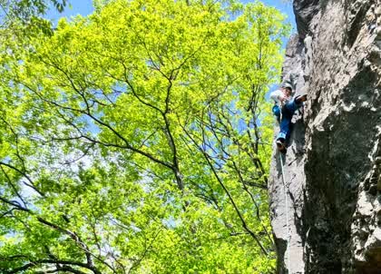 �V�΂̊���ŁA�v���Ԃ�̃C���u���iHALU8�j