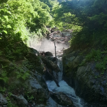HALU8