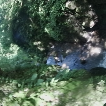 HALU8