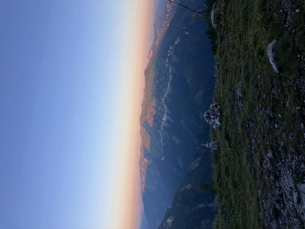 HALU8