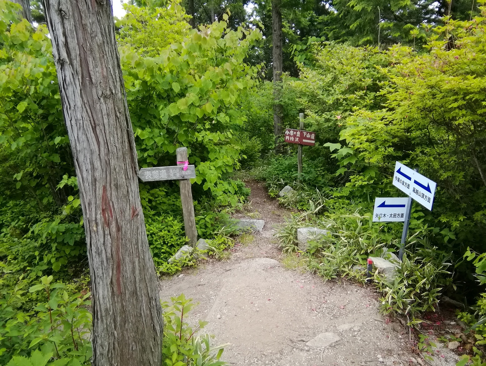 60�� �Ȃ�悤�ɂȂ邳�I�Ȃ�Ƃ��Ȃ邳�I�Ȃ�Ƃ����邳�I