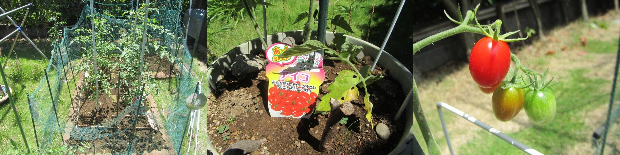 60�� �Ȃ�悤�ɂȂ邳�I�Ȃ�Ƃ��Ȃ邳�I�Ȃ�Ƃ����邳�I