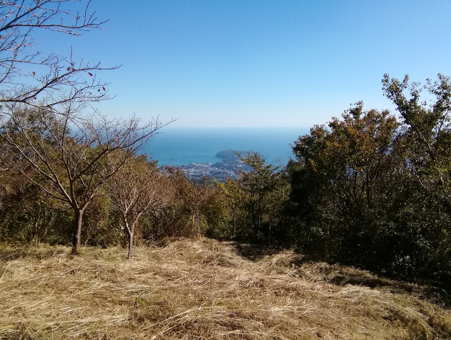 60�� �Ȃ�悤�ɂȂ邳�I�Ȃ�Ƃ��Ȃ邳�I�Ȃ�Ƃ����邳�I