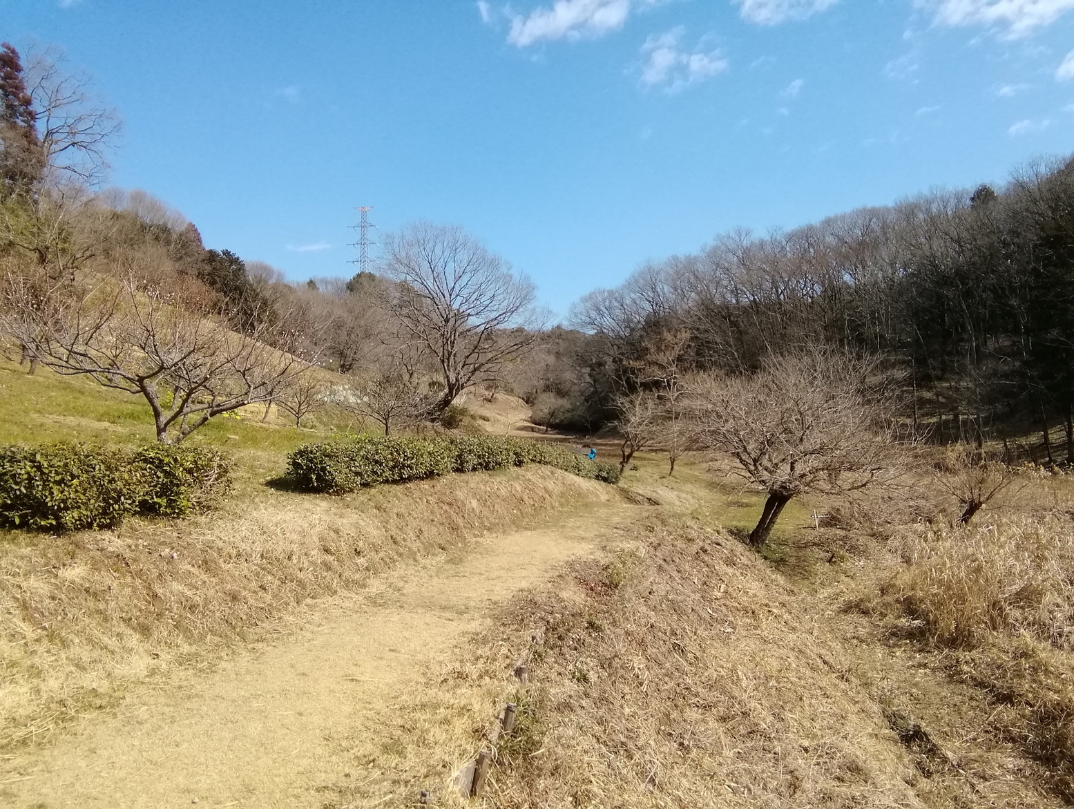 60�� �Ȃ�悤�ɂȂ邳�I�Ȃ�Ƃ��Ȃ邳�I�Ȃ�Ƃ����邳�I