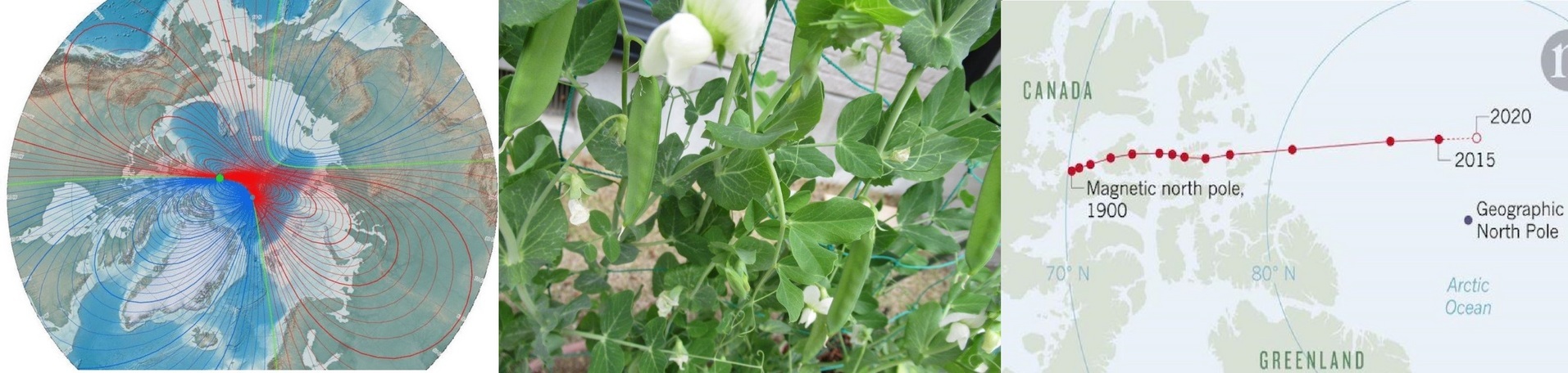 60�� �Ȃ�悤�ɂȂ邳�I�Ȃ�Ƃ��Ȃ邳�I�Ȃ�Ƃ����邳�I