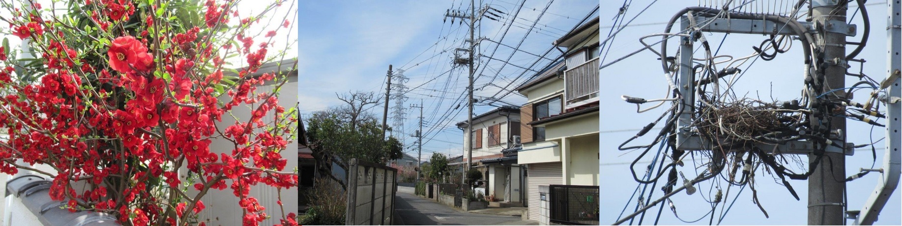 60�� �Ȃ�悤�ɂȂ邳�I�Ȃ�Ƃ��Ȃ邳�I�Ȃ�Ƃ����邳�I