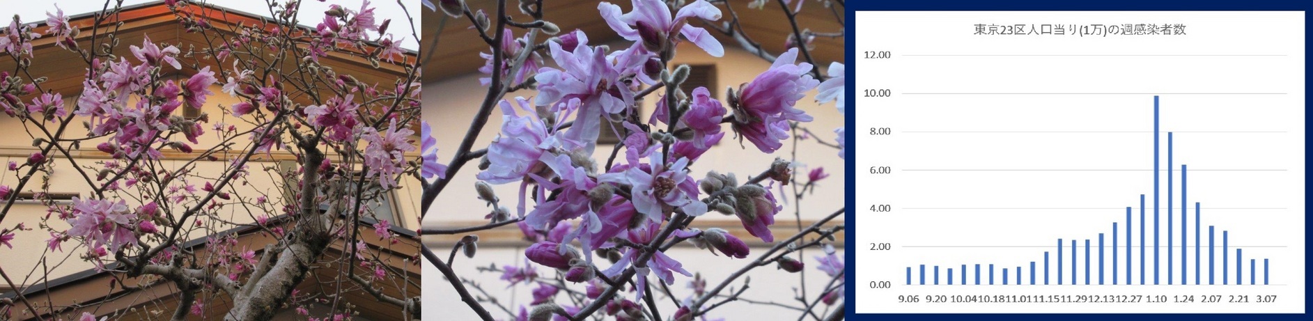 60�� �Ȃ�悤�ɂȂ邳�I�Ȃ�Ƃ��Ȃ邳�I�Ȃ�Ƃ����邳�I