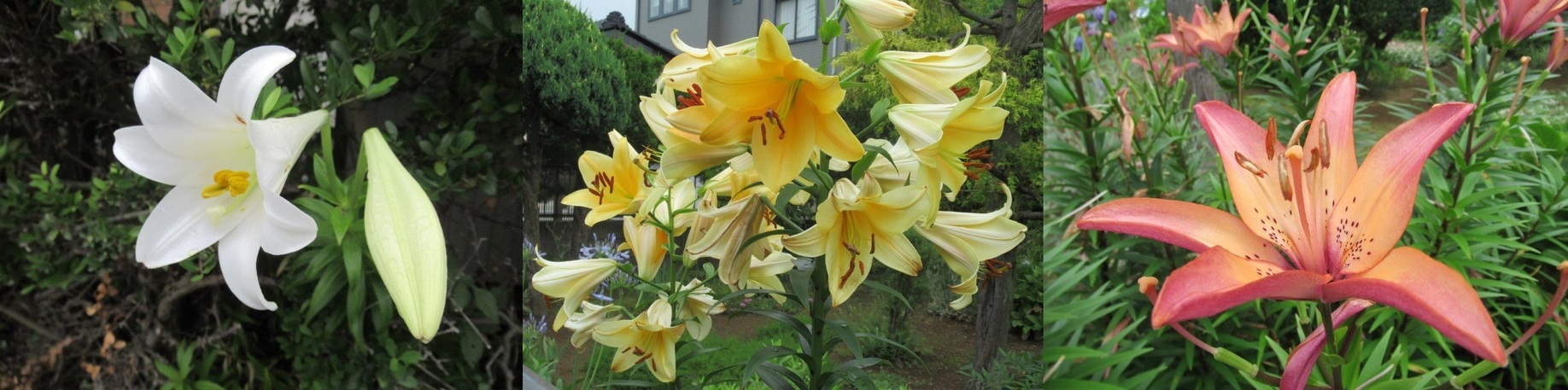 60�� �Ȃ�悤�ɂȂ邳�I�Ȃ�Ƃ��Ȃ邳�I�Ȃ�Ƃ����邳�I