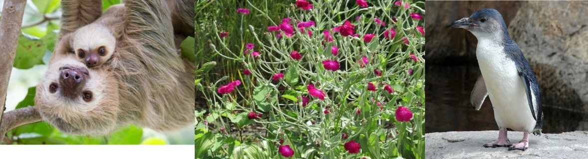 60�� �Ȃ�悤�ɂȂ邳�I�Ȃ�Ƃ��Ȃ邳�I�Ȃ�Ƃ����邳�I