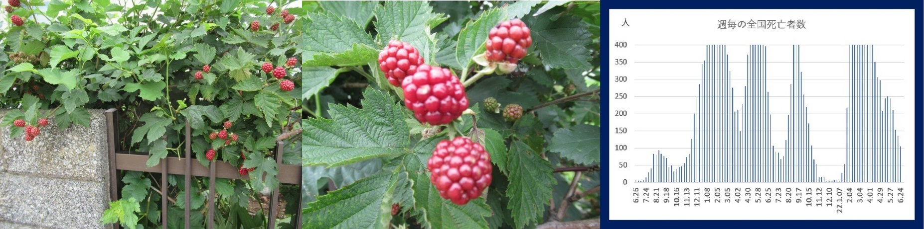 60�� �Ȃ�悤�ɂȂ邳�I�Ȃ�Ƃ��Ȃ邳�I�Ȃ�Ƃ����邳�I