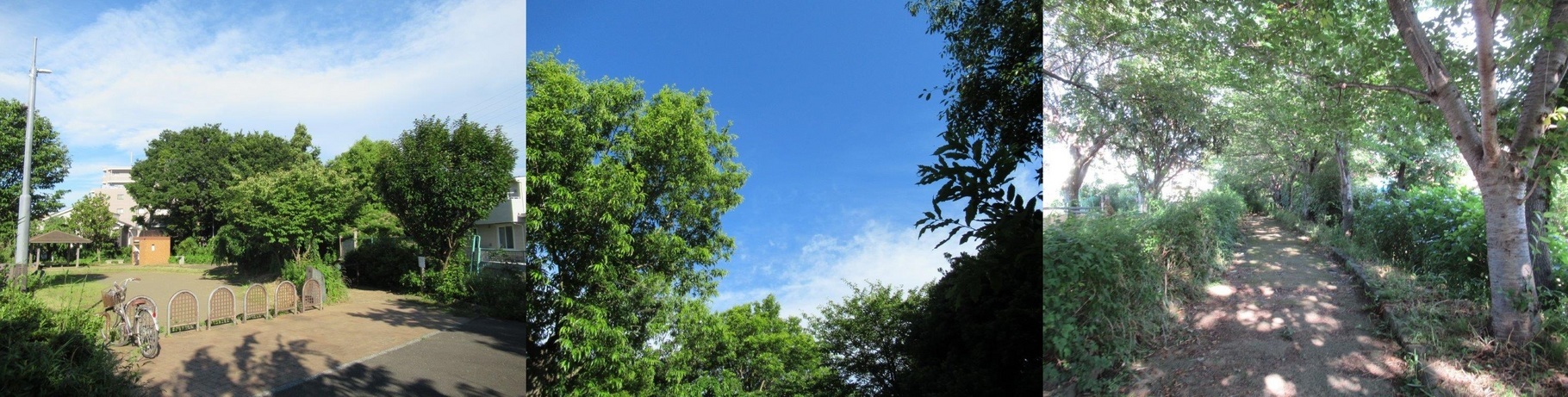 60�� �Ȃ�悤�ɂȂ邳�I�Ȃ�Ƃ��Ȃ邳�I�Ȃ�Ƃ����邳�I