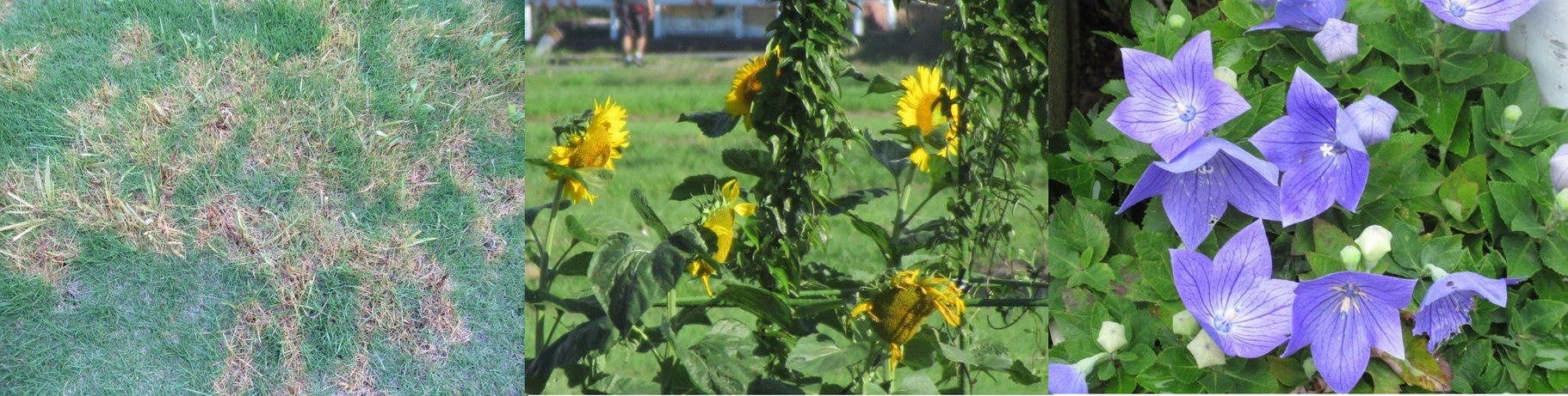 60�� �Ȃ�悤�ɂȂ邳�I�Ȃ�Ƃ��Ȃ邳�I�Ȃ�Ƃ����邳�I