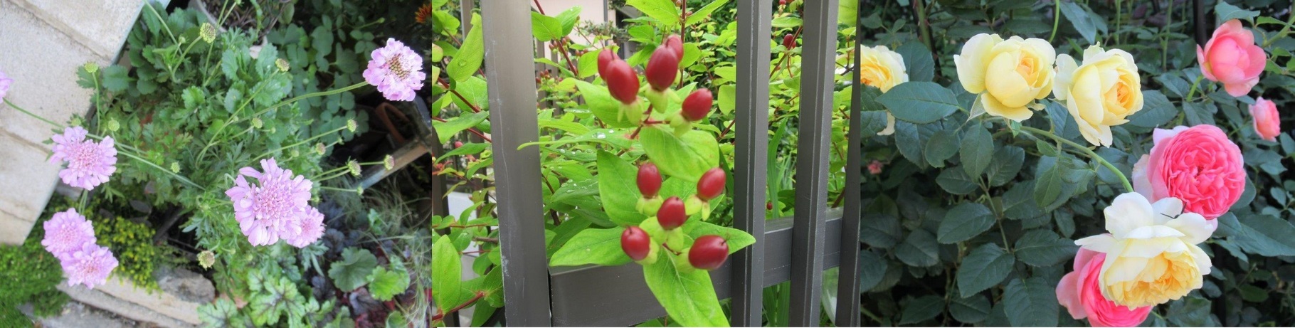 60�� �Ȃ�悤�ɂȂ邳�I�Ȃ�Ƃ��Ȃ邳�I�Ȃ�Ƃ����邳�I