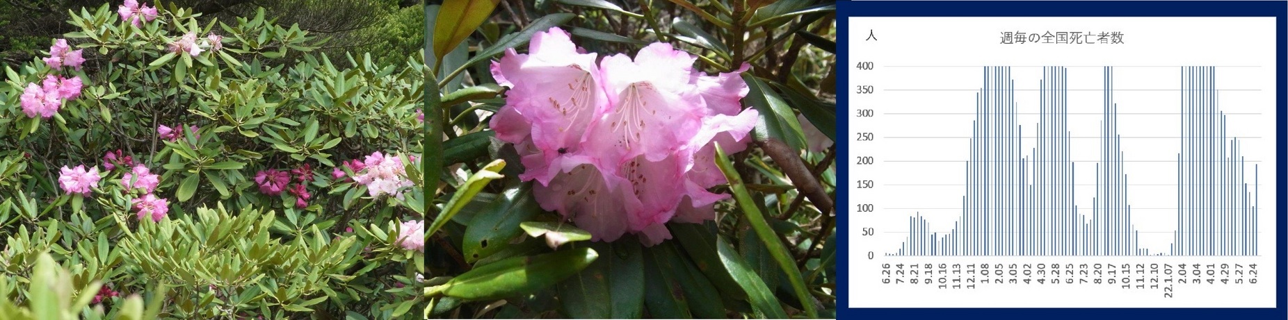 60�� �Ȃ�悤�ɂȂ邳�I�Ȃ�Ƃ��Ȃ邳�I�Ȃ�Ƃ����邳�I