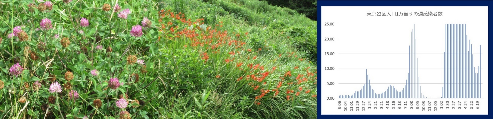 60�� �Ȃ�悤�ɂȂ邳�I�Ȃ�Ƃ��Ȃ邳�I�Ȃ�Ƃ����邳�I