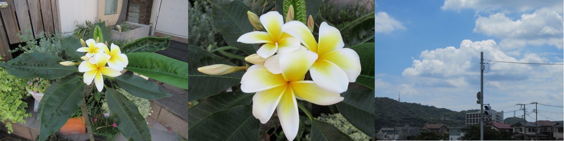 60�� �Ȃ�悤�ɂȂ邳�I�Ȃ�Ƃ��Ȃ邳�I�Ȃ�Ƃ����邳�I