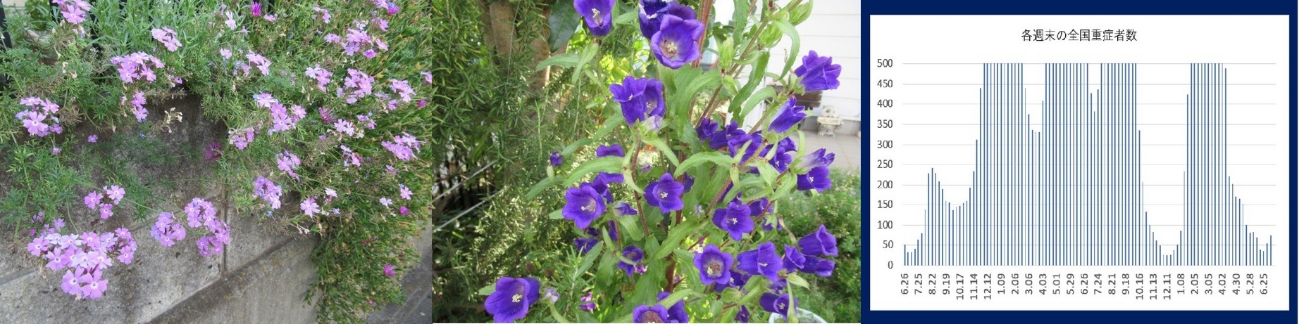 60�� �Ȃ�悤�ɂȂ邳�I�Ȃ�Ƃ��Ȃ邳�I�Ȃ�Ƃ����邳�I