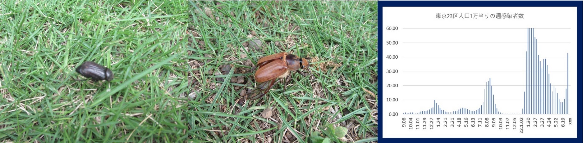 60�� �Ȃ�悤�ɂȂ邳�I�Ȃ�Ƃ��Ȃ邳�I�Ȃ�Ƃ����邳�I