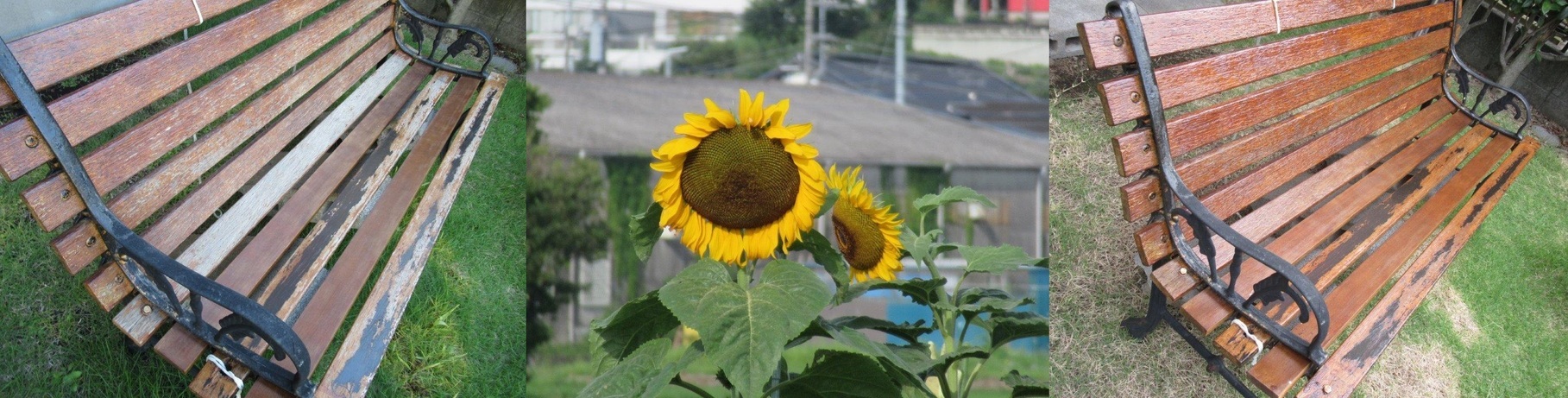 60�� �Ȃ�悤�ɂȂ邳�I�Ȃ�Ƃ��Ȃ邳�I�Ȃ�Ƃ����邳�I