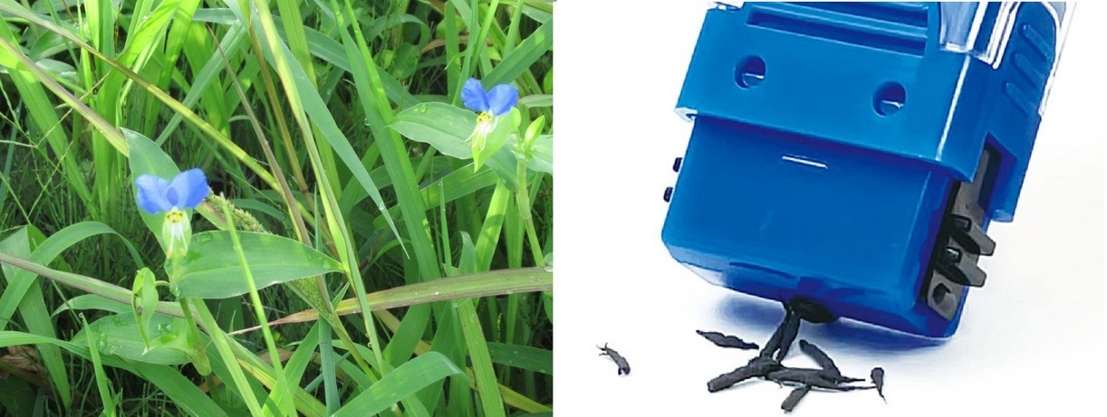 60�� �Ȃ�悤�ɂȂ邳�I�Ȃ�Ƃ��Ȃ邳�I�Ȃ�Ƃ����邳�I