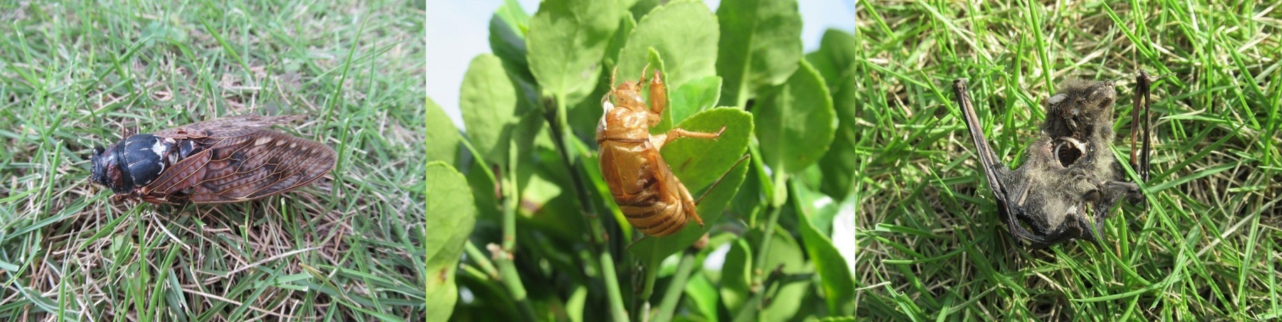 60�� �Ȃ�悤�ɂȂ邳�I�Ȃ�Ƃ��Ȃ邳�I�Ȃ�Ƃ����邳�I