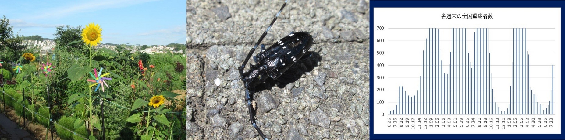 60�� �Ȃ�悤�ɂȂ邳�I�Ȃ�Ƃ��Ȃ邳�I�Ȃ�Ƃ����邳�I