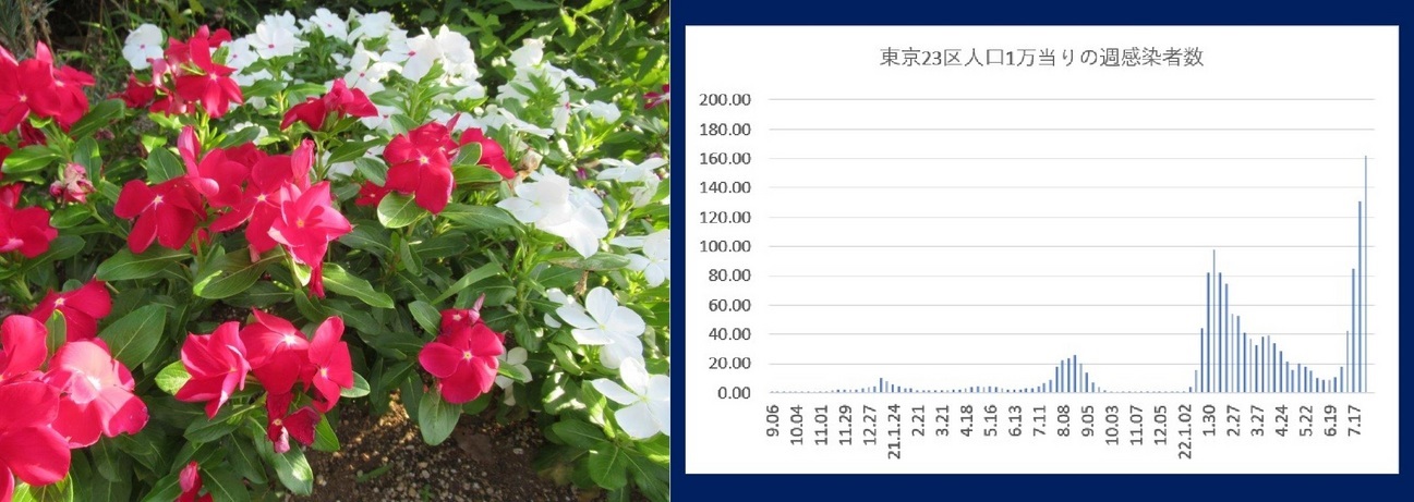 60�� �Ȃ�悤�ɂȂ邳�I�Ȃ�Ƃ��Ȃ邳�I�Ȃ�Ƃ����邳�I