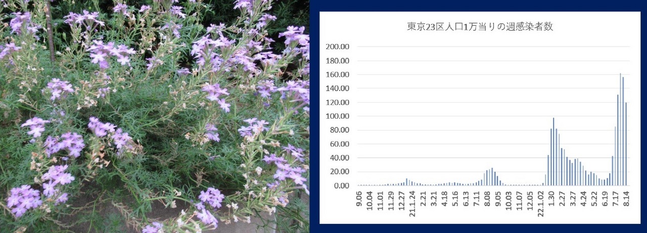 60�� �Ȃ�悤�ɂȂ邳�I�Ȃ�Ƃ��Ȃ邳�I�Ȃ�Ƃ����邳�I