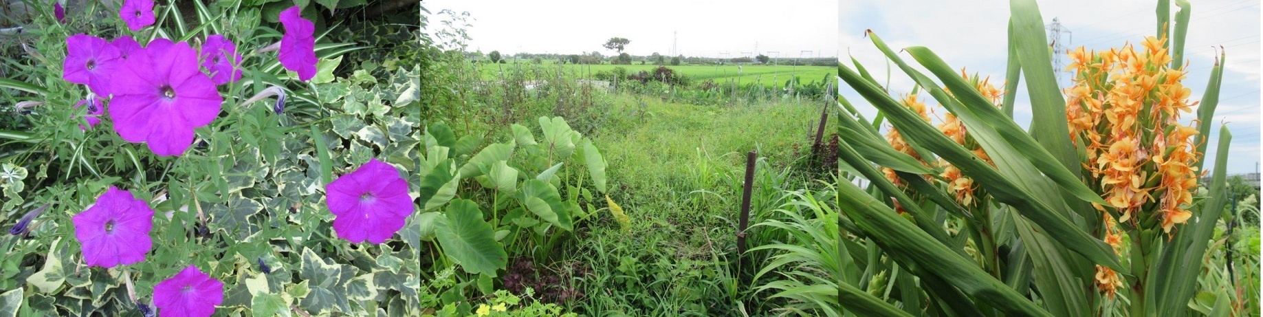 60�� �Ȃ�悤�ɂȂ邳�I�Ȃ�Ƃ��Ȃ邳�I�Ȃ�Ƃ����邳�I