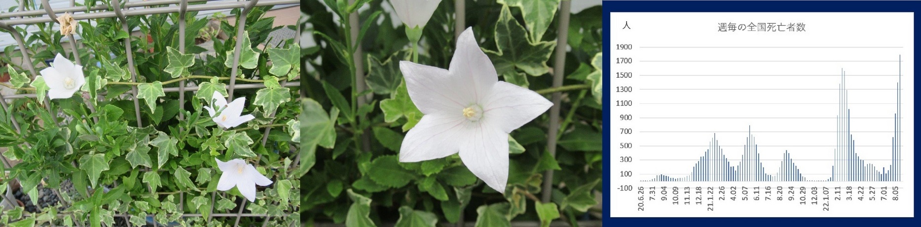 60�� �Ȃ�悤�ɂȂ邳�I�Ȃ�Ƃ��Ȃ邳�I�Ȃ�Ƃ����邳�I