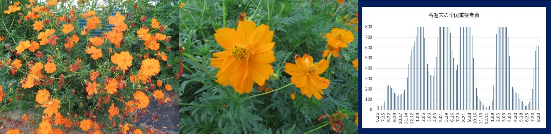 60�� �Ȃ�悤�ɂȂ邳�I�Ȃ�Ƃ��Ȃ邳�I�Ȃ�Ƃ����邳�I