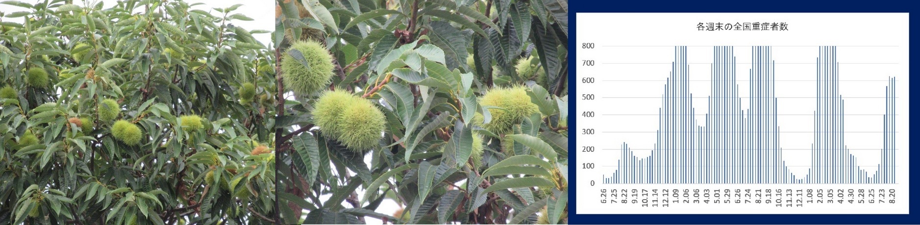 60�� �Ȃ�悤�ɂȂ邳�I�Ȃ�Ƃ��Ȃ邳�I�Ȃ�Ƃ����邳�I