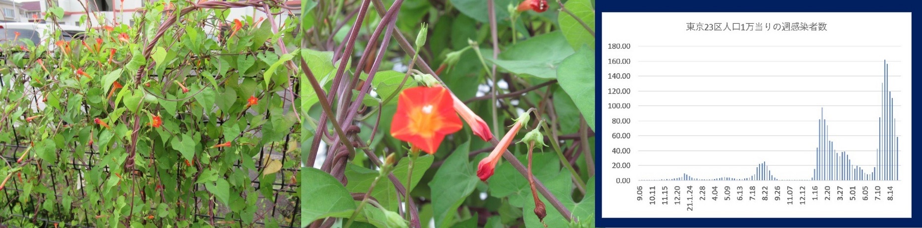 60�� �Ȃ�悤�ɂȂ邳�I�Ȃ�Ƃ��Ȃ邳�I�Ȃ�Ƃ����邳�I