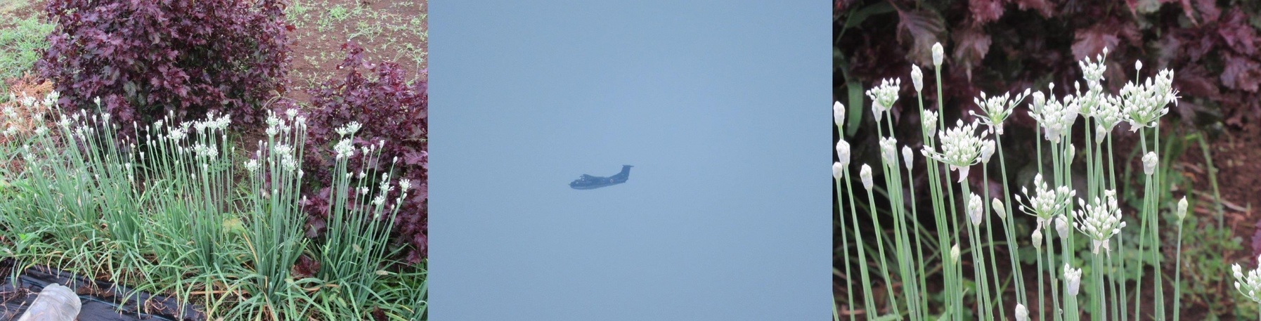 60�� �Ȃ�悤�ɂȂ邳�I�Ȃ�Ƃ��Ȃ邳�I�Ȃ�Ƃ����邳�I