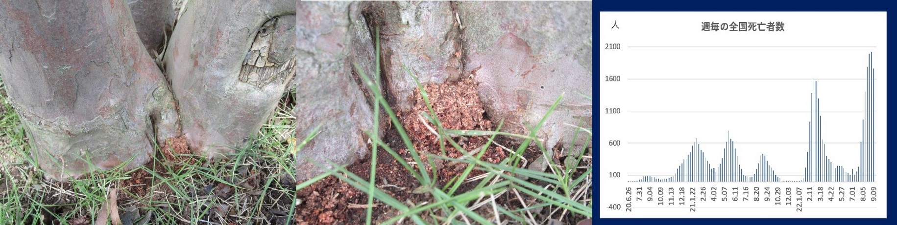 60�� �Ȃ�悤�ɂȂ邳�I�Ȃ�Ƃ��Ȃ邳�I�Ȃ�Ƃ����邳�I