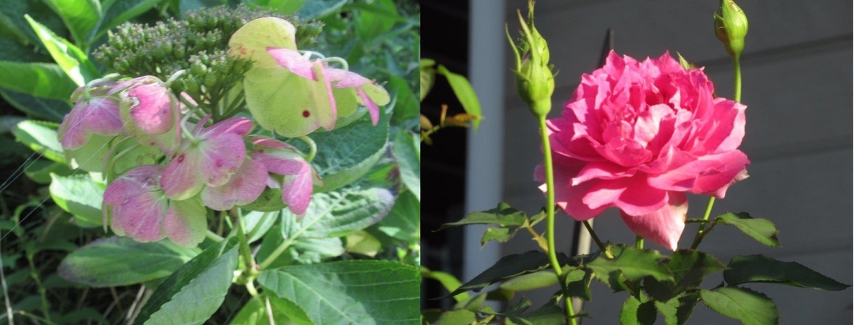 60�� �Ȃ�悤�ɂȂ邳�I�Ȃ�Ƃ��Ȃ邳�I�Ȃ�Ƃ����邳�I