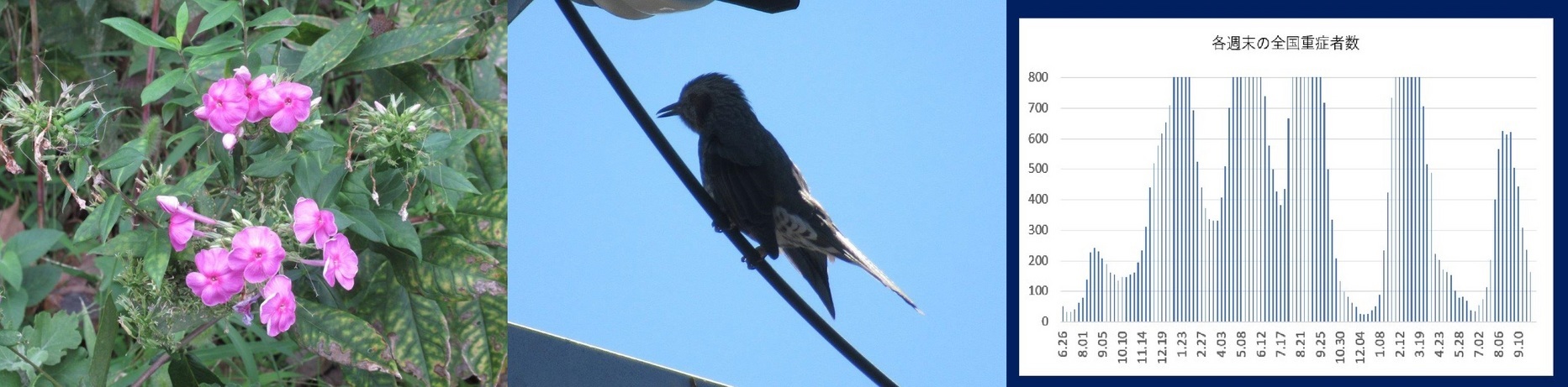 60�� �Ȃ�悤�ɂȂ邳�I�Ȃ�Ƃ��Ȃ邳�I�Ȃ�Ƃ����邳�I