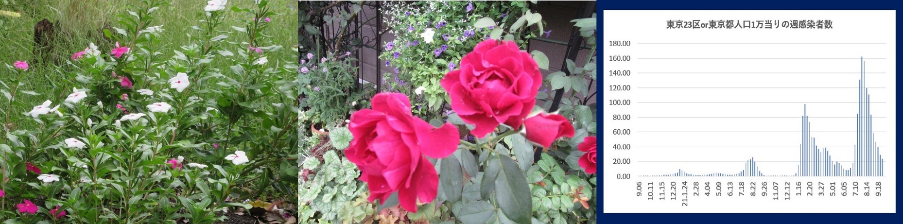 60�� �Ȃ�悤�ɂȂ邳�I�Ȃ�Ƃ��Ȃ邳�I�Ȃ�Ƃ����邳�I