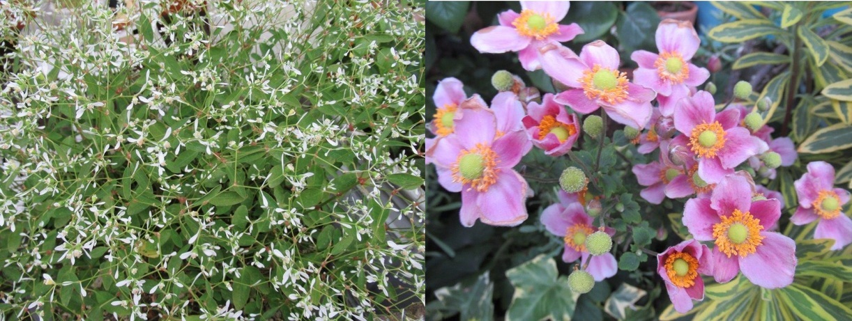 60�� �Ȃ�悤�ɂȂ邳�I�Ȃ�Ƃ��Ȃ邳�I�Ȃ�Ƃ����邳�I