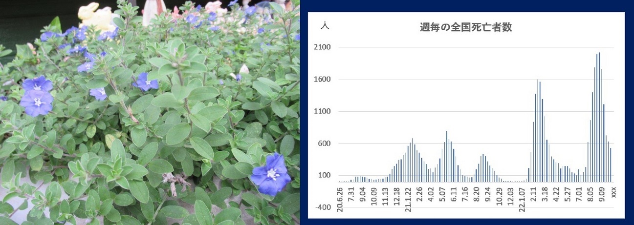 60�� �Ȃ�悤�ɂȂ邳�I�Ȃ�Ƃ��Ȃ邳�I�Ȃ�Ƃ����邳�I