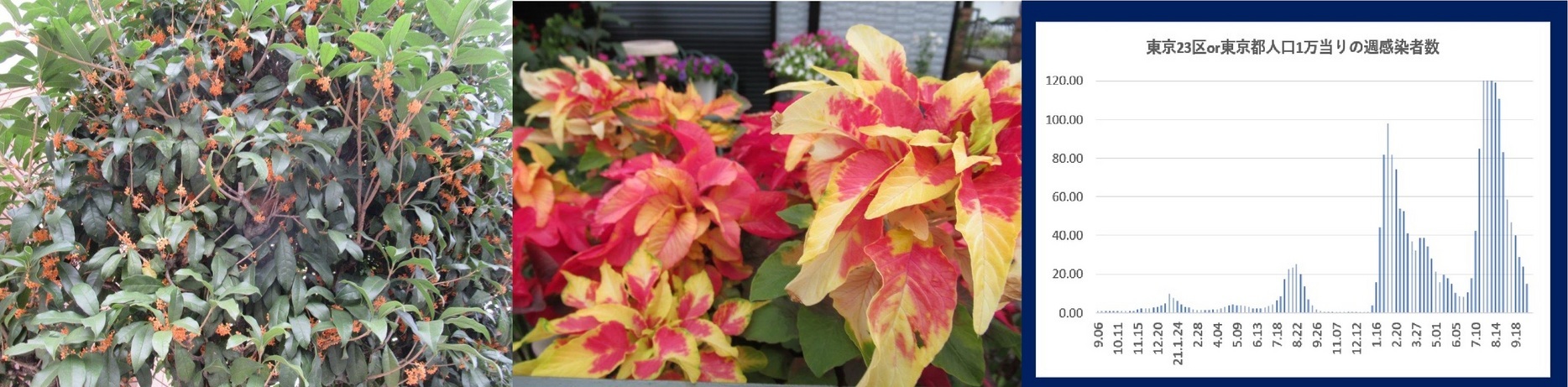 60�� �Ȃ�悤�ɂȂ邳�I�Ȃ�Ƃ��Ȃ邳�I�Ȃ�Ƃ����邳�I