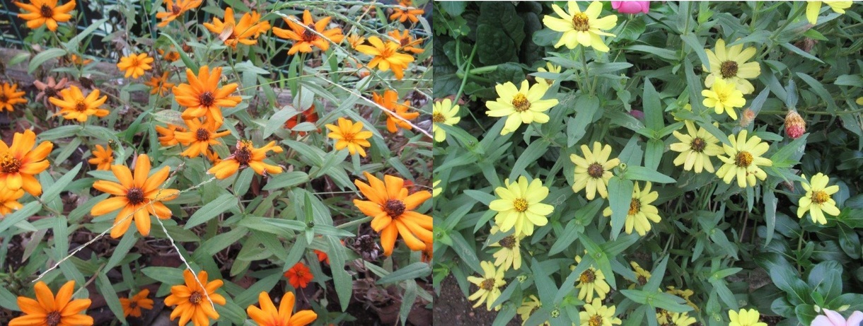 60�� �Ȃ�悤�ɂȂ邳�I�Ȃ�Ƃ��Ȃ邳�I�Ȃ�Ƃ����邳�I