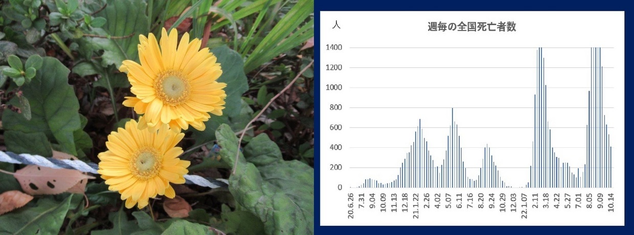 60�� �Ȃ�悤�ɂȂ邳�I�Ȃ�Ƃ��Ȃ邳�I�Ȃ�Ƃ����邳�I