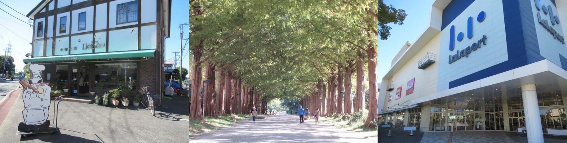 60�� �Ȃ�悤�ɂȂ邳�I�Ȃ�Ƃ��Ȃ邳�I�Ȃ�Ƃ����邳�I