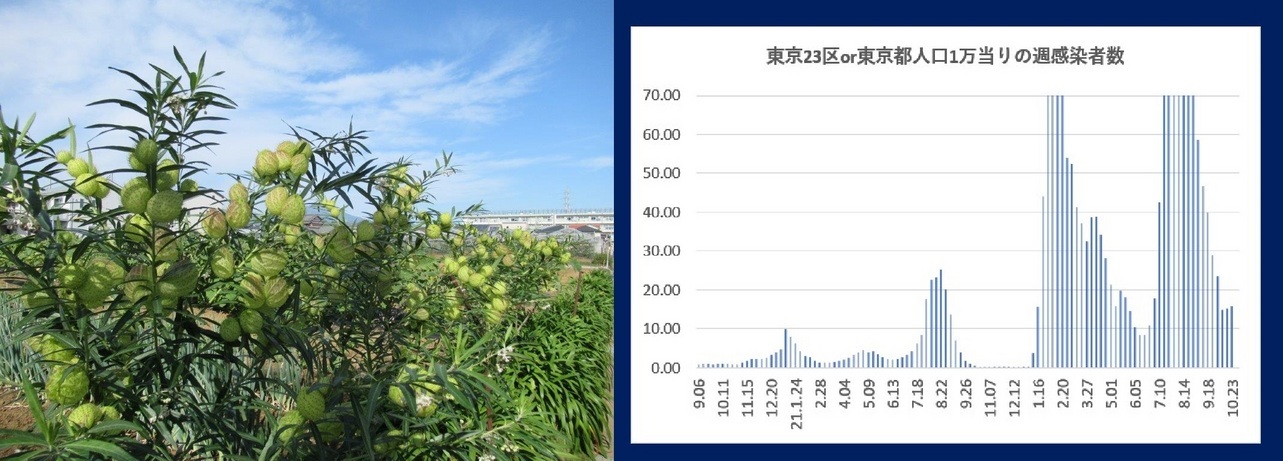 60�� �Ȃ�悤�ɂȂ邳�I�Ȃ�Ƃ��Ȃ邳�I�Ȃ�Ƃ����邳�I